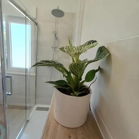 Novi Prostrani U Strogom Centru Pule * Póla