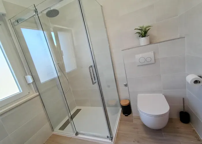 Novi Prostrani U Strogom Centru Pule Pula